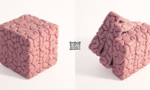 Braincube