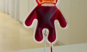 Teddy Bear Blood Bag